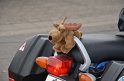 Saisoneroeffnungsfahrt 2012 - 116